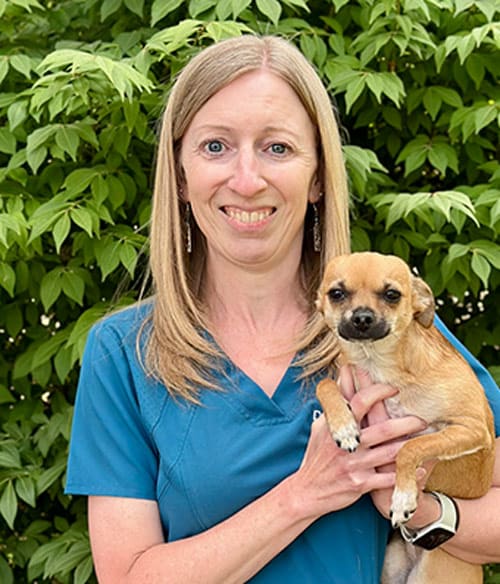 Dr. Lori Stose, Liberty Lake Veterinarian